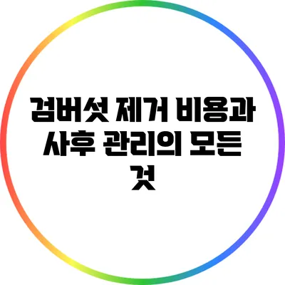 검버섯 제거: 비용과 사후 관리의 모든 것